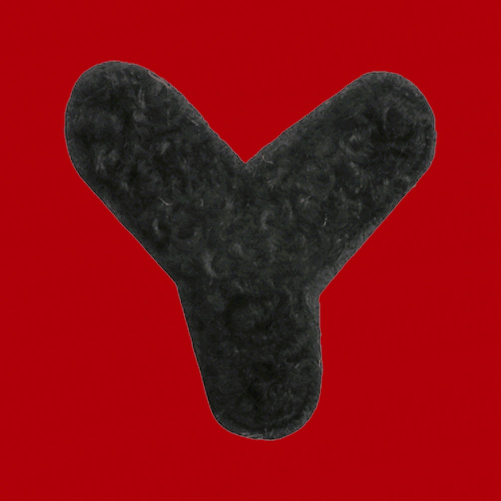 CH-HM-S02-LET1-Y-2525