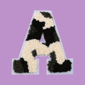CH-HM-S02-LET2-A-6570
