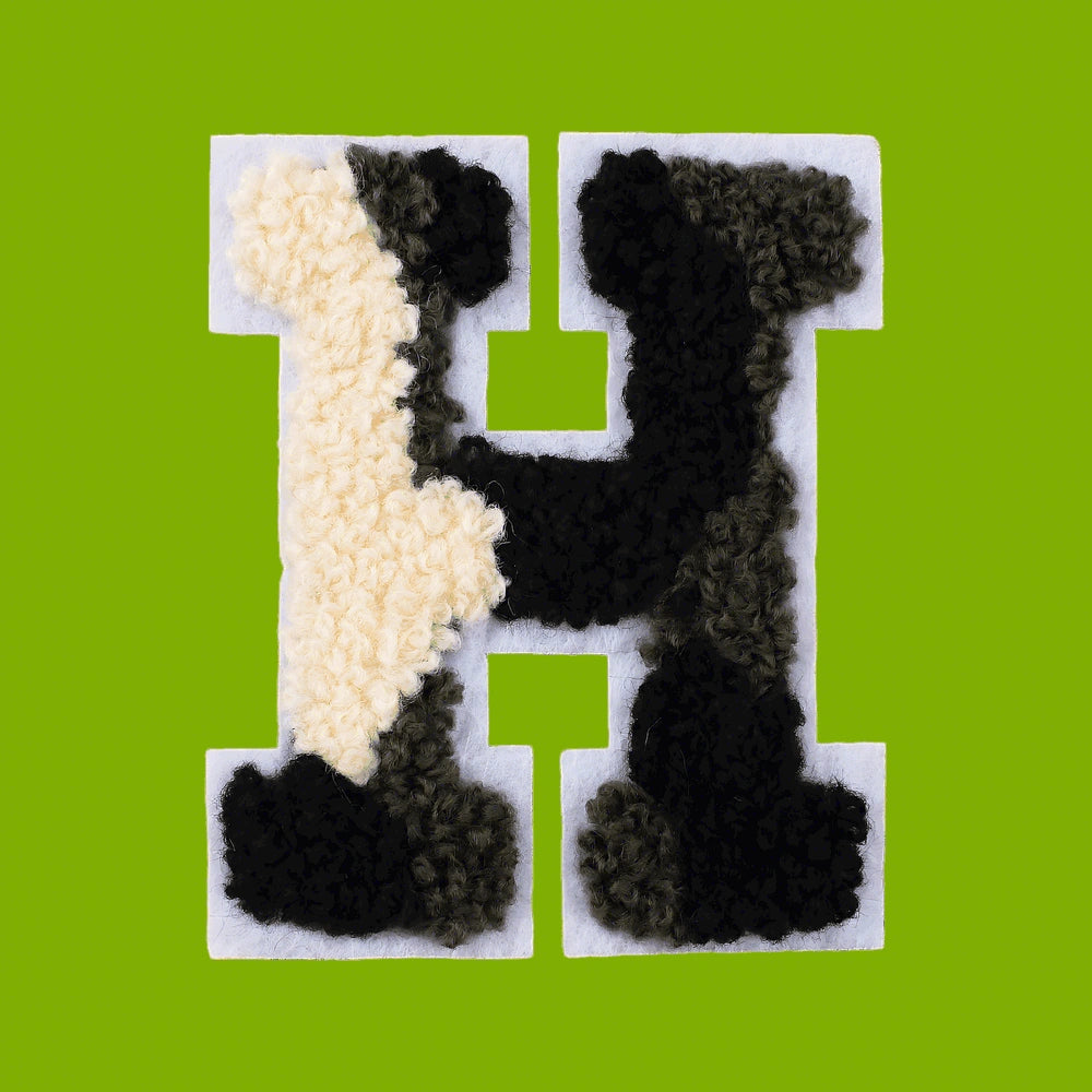 CH-HM-S02-LET2-H-5870