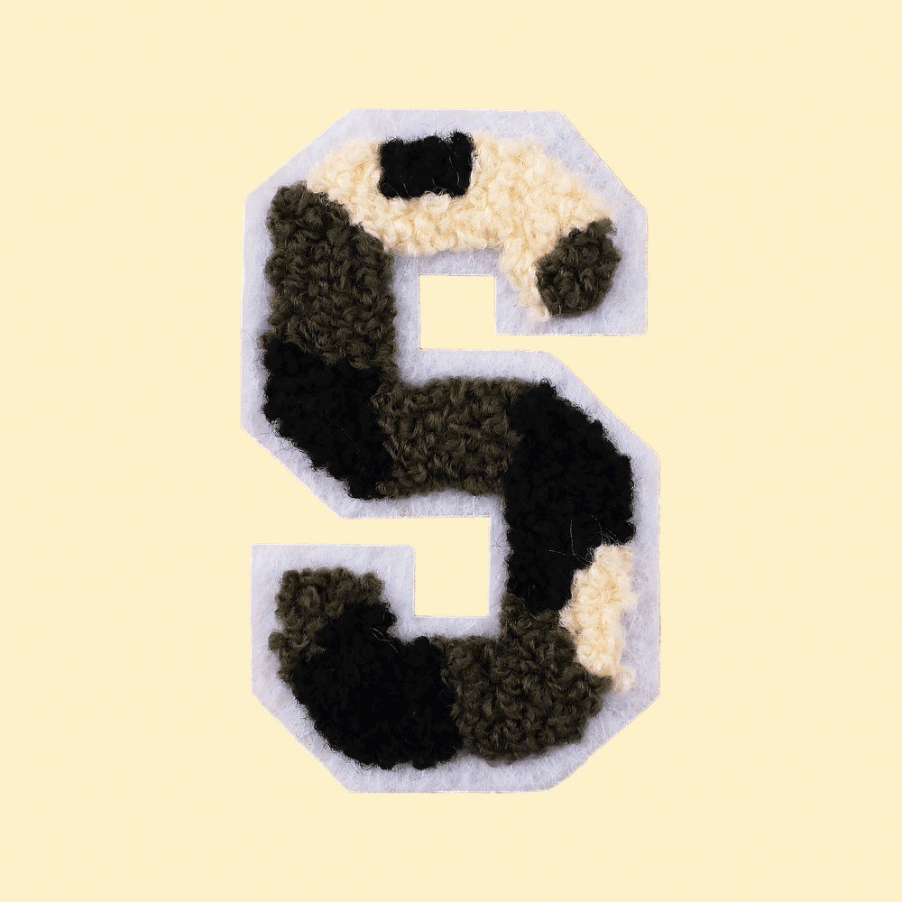 CH-HM-S02-LET2-S-4270