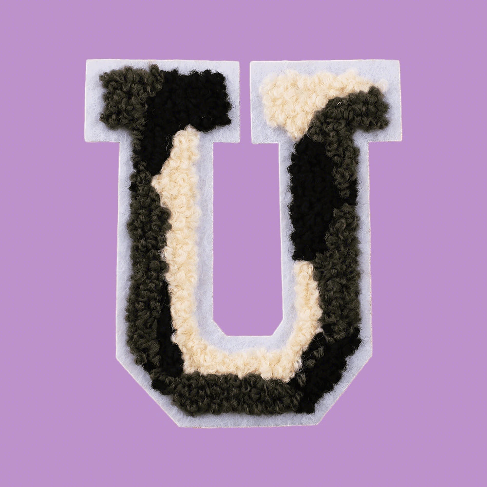 CH-HM-S02-LET2-U-6070