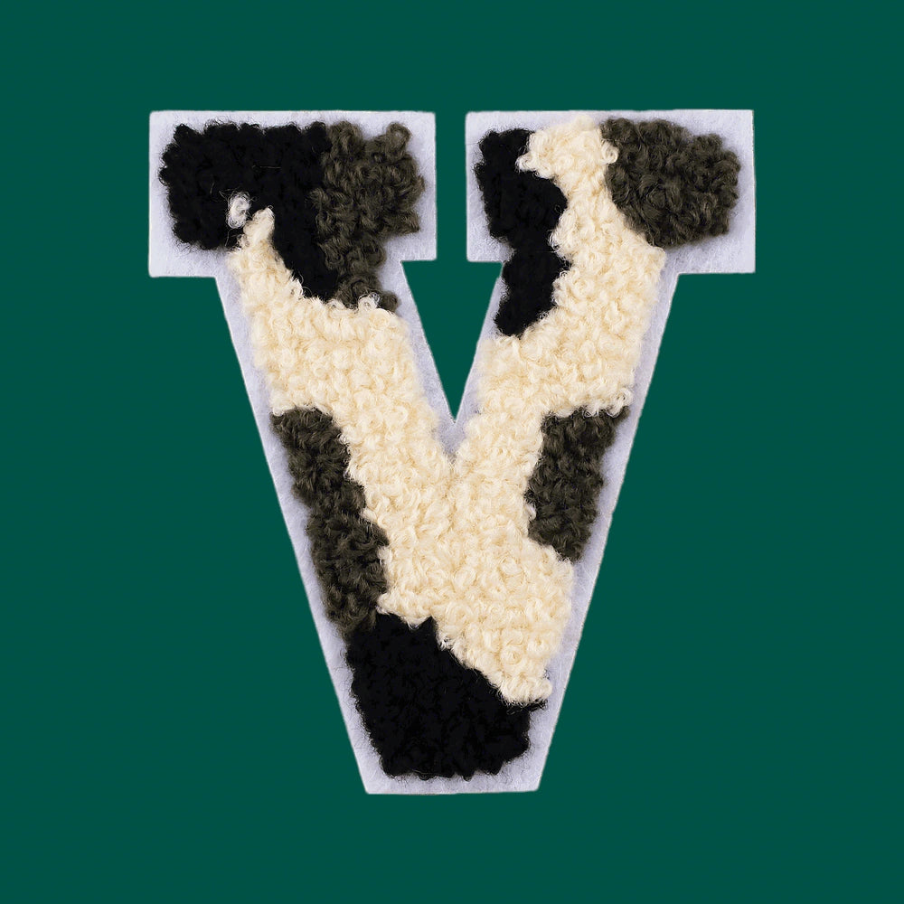 CH-HM-S02-LET2-V-6270