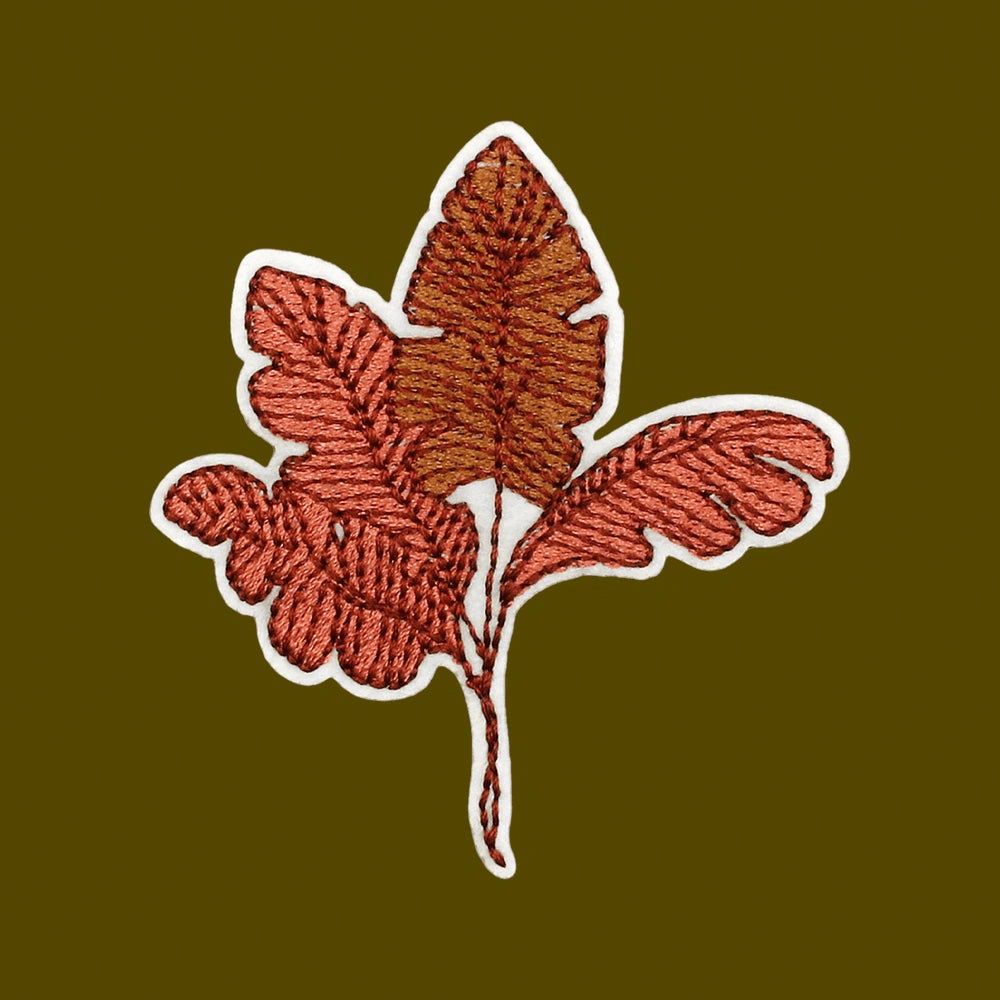 EP-HM-S02-COZY1-15-6470